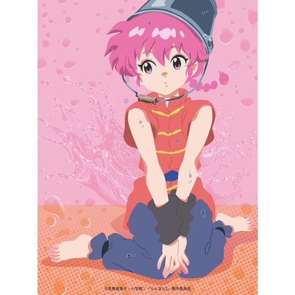 らんま1/2 　dvd Amazon.co.jp: らんま1/2 TVシリーズ完全収録版(37) [DVD