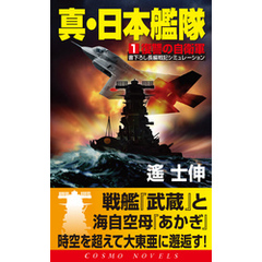 真・日本艦隊（1）復讐の自衛軍