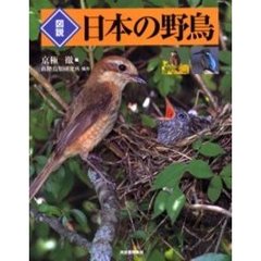 図説日本の野鳥