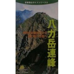 ビデオ　八ガ岳連峰