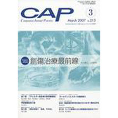 ＣＡＰ　２１３