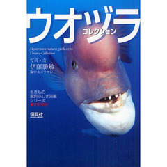 ウオヅラコレクション