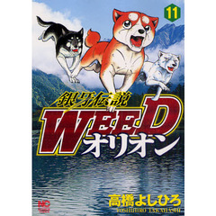 銀牙伝説ＷＥＥＤ　オリオン　　１１