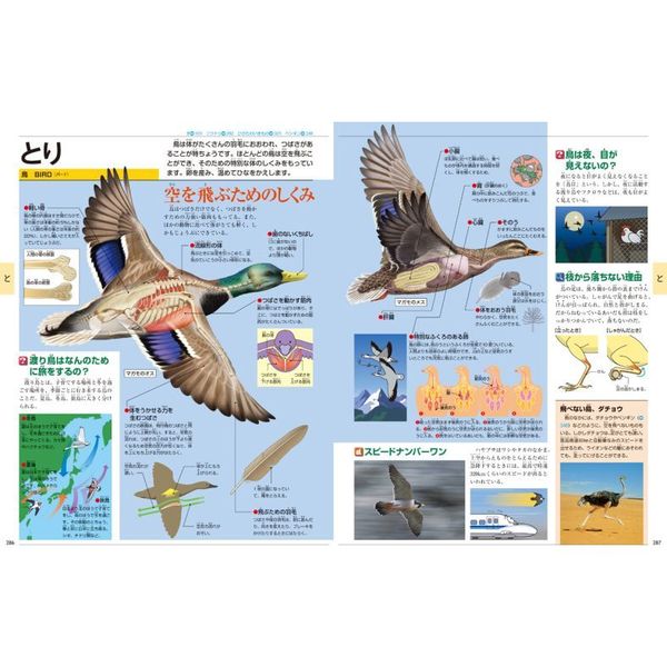 小学館こども大百科 キッズペディア 通販｜セブンネットショッピング