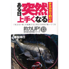 チヌカカリ釣りがある日突然上手くなる