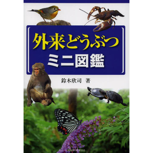 ֥ͥåȥåԥ󥰤㤨ֳɤ֤ĥߥ˿޴աפβǤʤ2,640ߤˤʤޤ