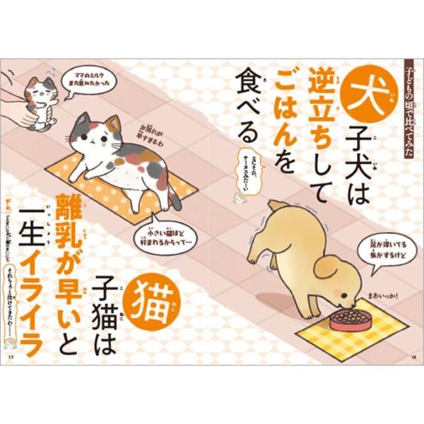 Amazon.co.jp: それでもがんばる! どんまいなちっちゃいいきもの