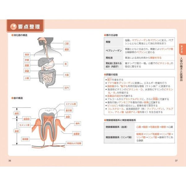 登録販売者試験一問一答＆要点整理 らくらく完全攻略！ 第３版 通販