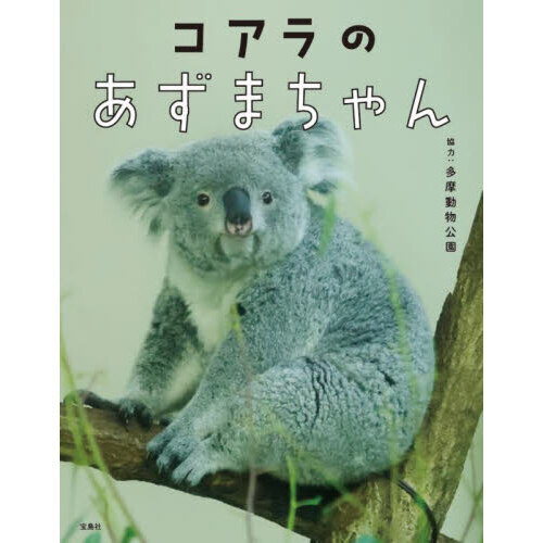 Amazon.co.jp: らくらく極美OP05-006 コアラ パラレル NN : おもちゃ