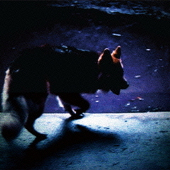 オン・オール・フォーズ