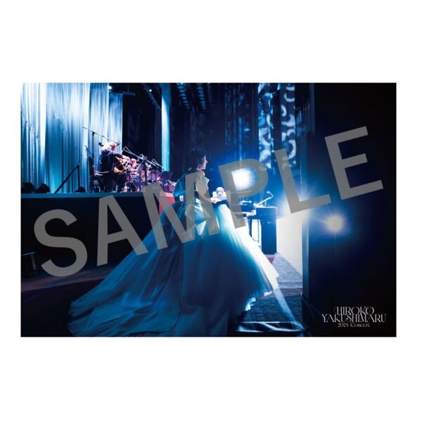 薬師丸ひろ子／薬師丸ひろ子 2024コンサート DVD（外付特典：ポスト