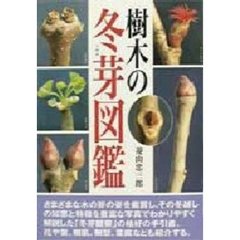 樹木の冬芽図鑑