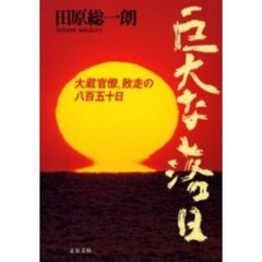 巨大な落日　大蔵官僚、敗走の八百五十日