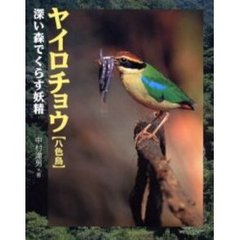 ヤイロチョウ　深い森でくらす妖精