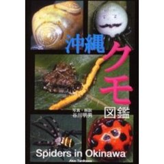 沖縄クモ図鑑　めずらしい沖縄のクモ２１７種！