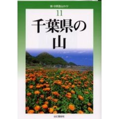 単行本ISBN-10作型を生かすニンジンのつくり方/農山漁村文化協会/小川勉