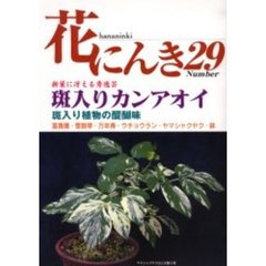 花にんき　ナンバー２９　新葉に冴える秀逸芸　斑入りカンアオイ　斑入植物・富貴蘭・雪割草・エビネ　ウチョウラン・ヤマシャクヤク・鉢