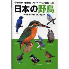 日本の野鳥