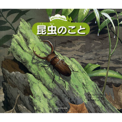 昆虫のこと