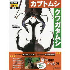 カブトムシクワガタムシ
