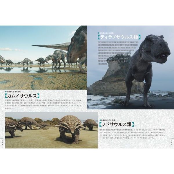 ＪＡＰＡＮ　ＮＨＫスペシャル恐竜超世界ＩＮ　通販｜セブンネットショッピング
