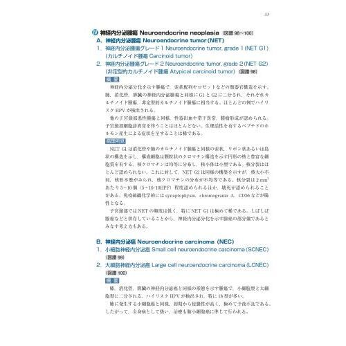 子宮頸癌取扱い規約/金原出版（単行本） 子宮頸癌取扱い規約 病理編 第4版