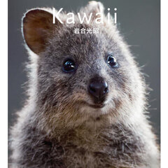 Ｋａｗａｉｉ　ウォンバット　クオッカ　コアラ