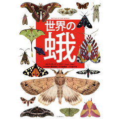 世界の蛾