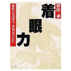 着眼力