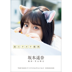 TEAM　SHACHI　アートブックコレクションVol.3　猫にチカラ饂飩　坂本遥奈