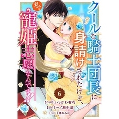 Berry’sFantasyクールな騎士団長に身請けされたけど、私は寵姫志願なんです！！ 6巻