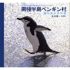 南極半島ペンギン村　銀次郎の恋物語　永田雅一写真集