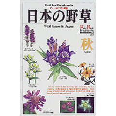 日本の野草　秋