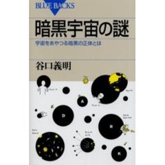 暗黒宇宙の謎　宇宙をあやつる暗黒の正体とは