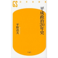 平成政治２０年史