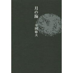月の海