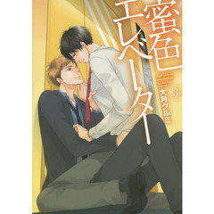 蜜色エレベーター　３Ｆ