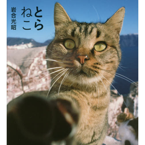 とらねこ 通販｜セブンネットショッピング