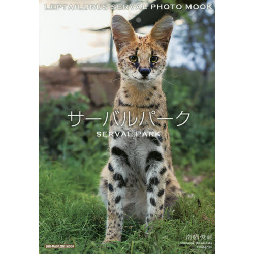 ֥ͥåȥåԥ󥰤㤨֥Хѡ (SUN-MAGAZINE MOOKפβǤʤ916ߤˤʤޤ