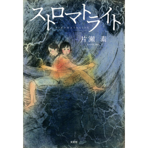 ֥ͥåȥåԥ󥰤㤨֥ȥޥȥ饤ȡפβǤʤ1,320ߤˤʤޤ