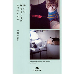 猫には嫌なところがまったくない