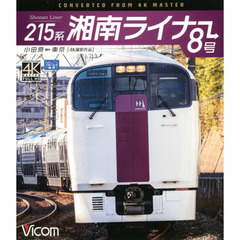 ＢＤ　２１５系湘南ライナー８号　小田原～