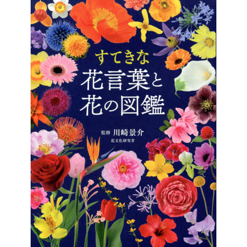 新散歩の花図鑑 この花なに？がひと目でわかる！ ６２３種探しやすい