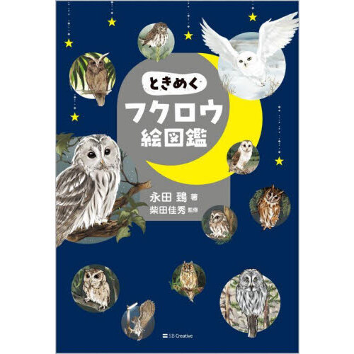 ときめくフクロウ絵図鑑 通販｜セブンネットショッピング