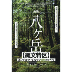 八ヶ岳〈縄文特区〉エンディング・ヴィレッジ構想のすべて
