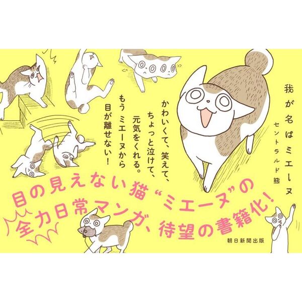 特典付き 直筆イラスト入りサイン本 我が名はミエーヌ セントラルド熊 COTOGOTOBOOKS | 在庫あり】サイン本、アイテム一覧 その他
