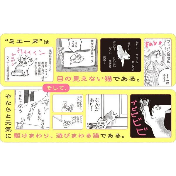 我が名はミエーヌ 通販｜セブンネットショッピング
