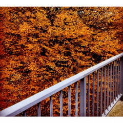 ブースフェリー