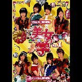 美女学 Vol.1（ＤＶＤ）