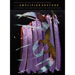 アンプリファイド・ジェスチャー（ＤＶＤ）